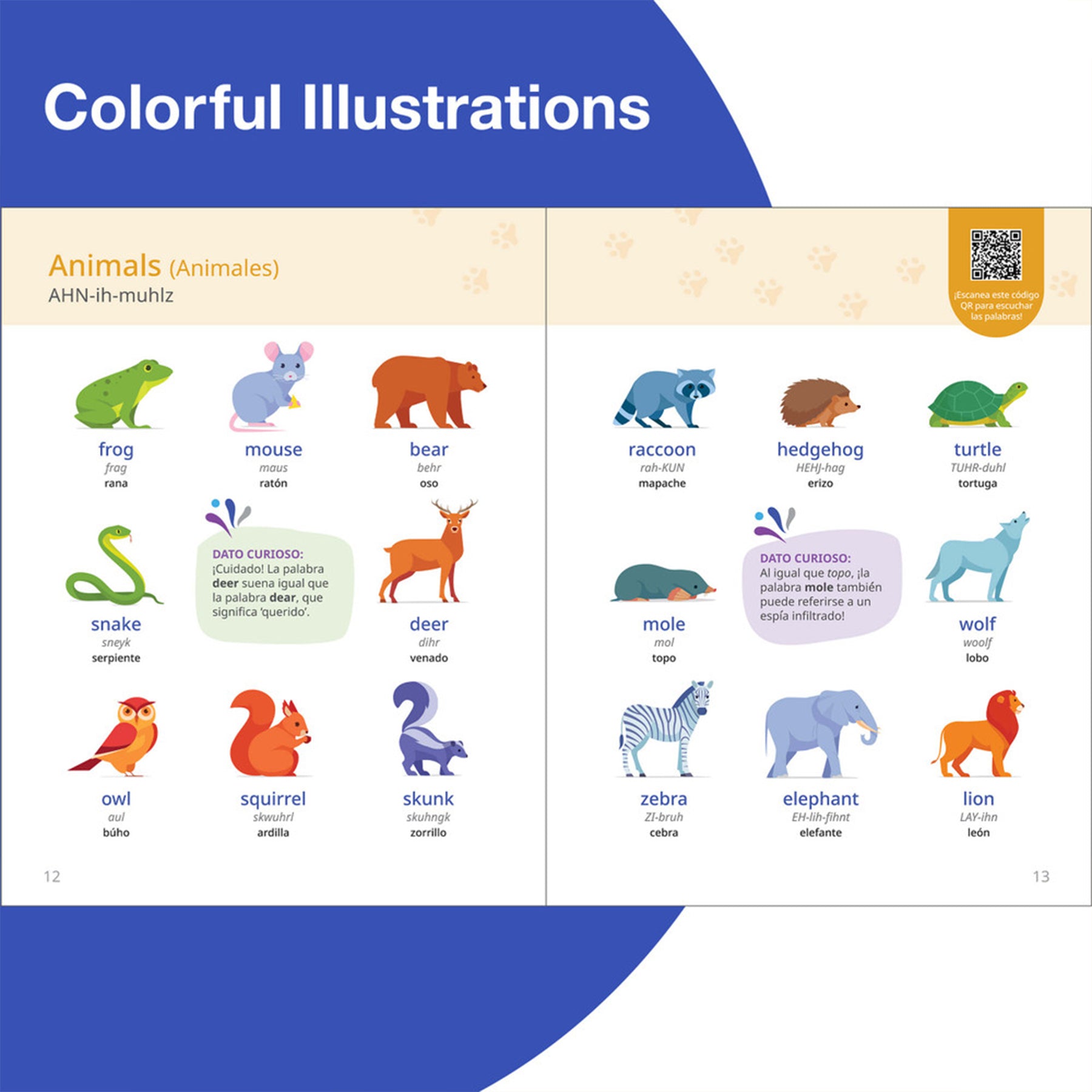 Inglés: Diccionario visual
