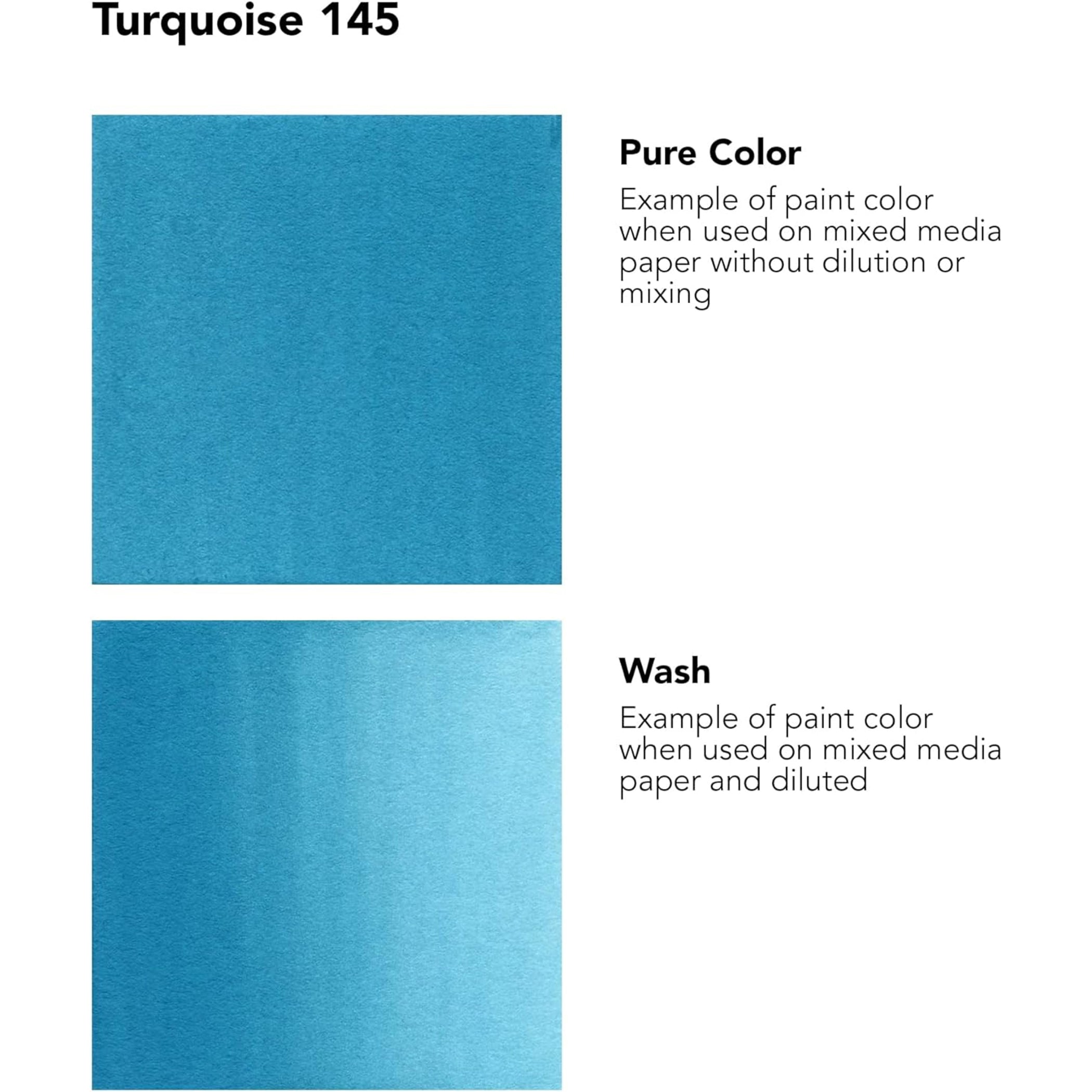 FW Acrylic Ink, Turquoise, 29.5ml, 1 Count