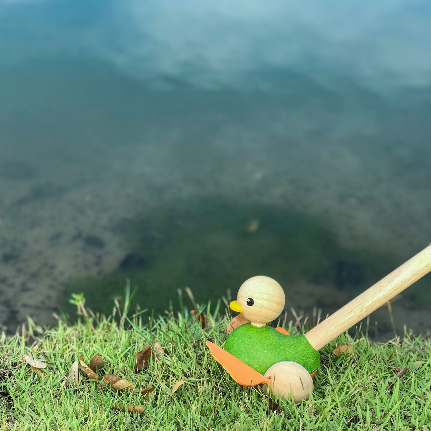 Wooden Push Along Duck Toy