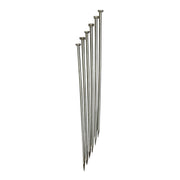 Dissecting Pins, Straight, 2", Pack of 6