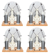 Wimshurst Machine, Case of 4