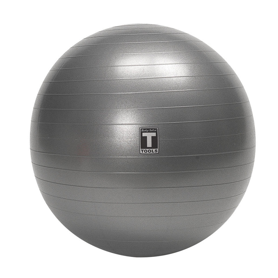 Stability Balls 55Cm Gray