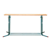 100 Series Parallel Bars