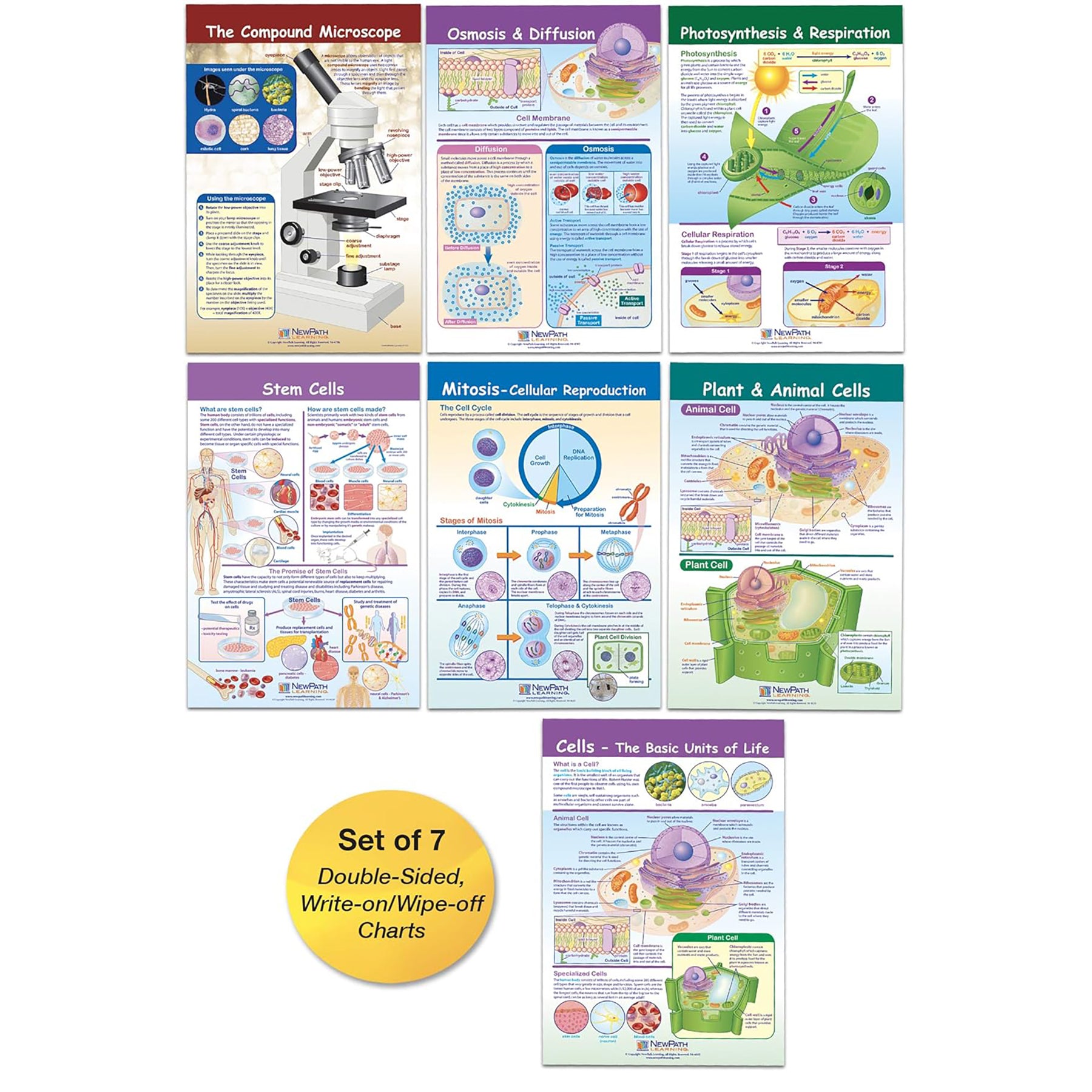 Cells Bulletin Board Chart Set, Grades 3-5