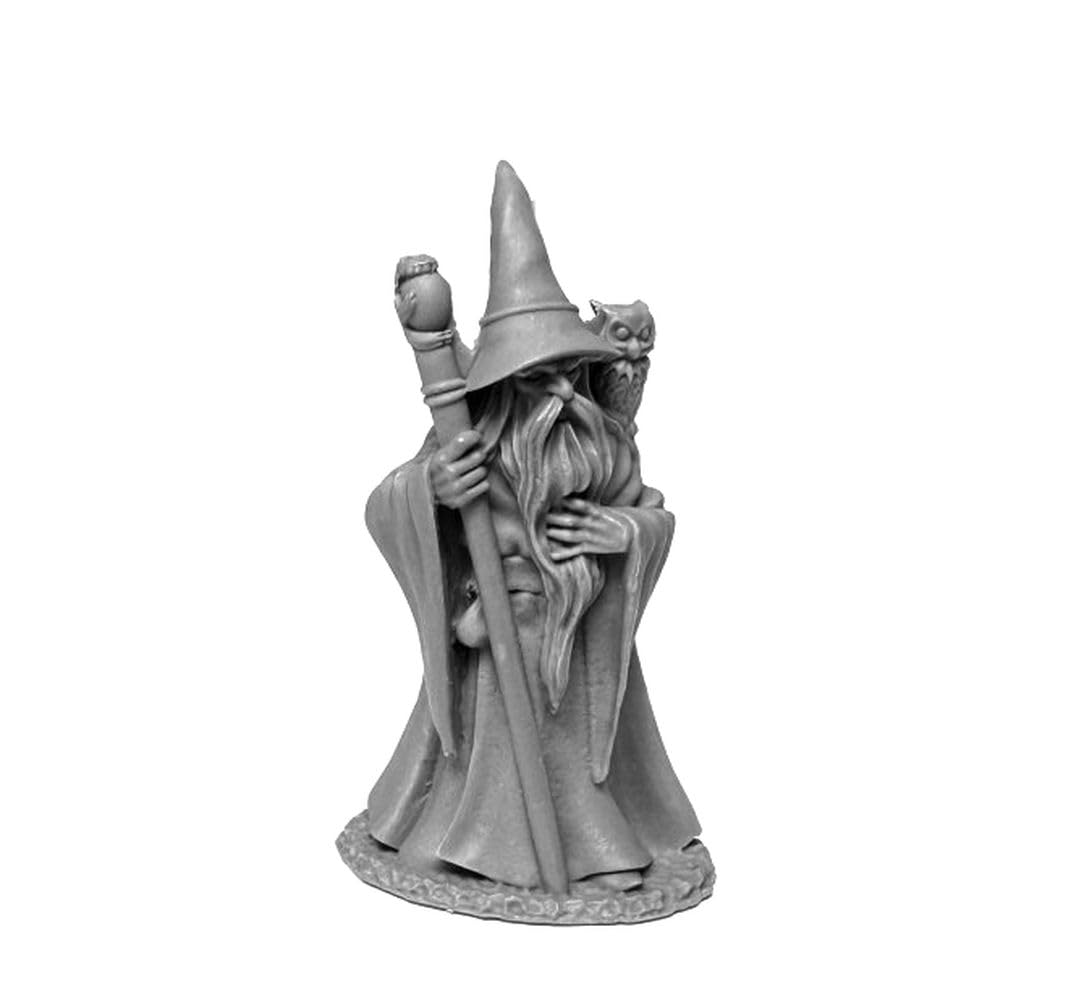 RPR07077 - Reaper Miniatures: Anuminar Winterbeard | Human Wizard