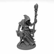 REAPER Sathera, Elf Warlock