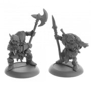 Dark Heaven Legends: Orc Warriors (2)
