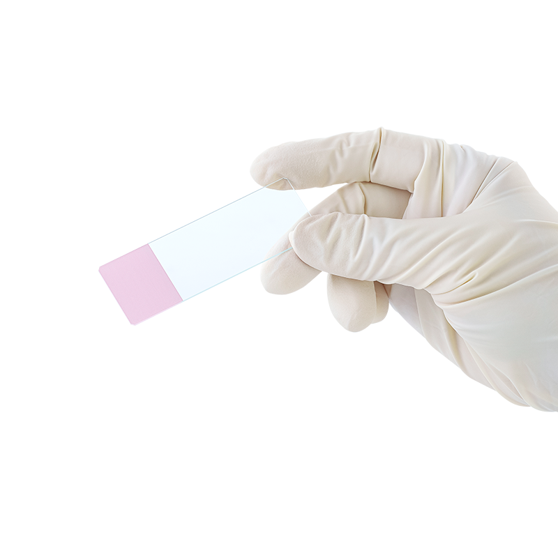 Microscope Slides, Corner Grounded, Frosted, Pink, 75 x 25 x 1 mm - 72 slides per Box/20 Boxes per Case