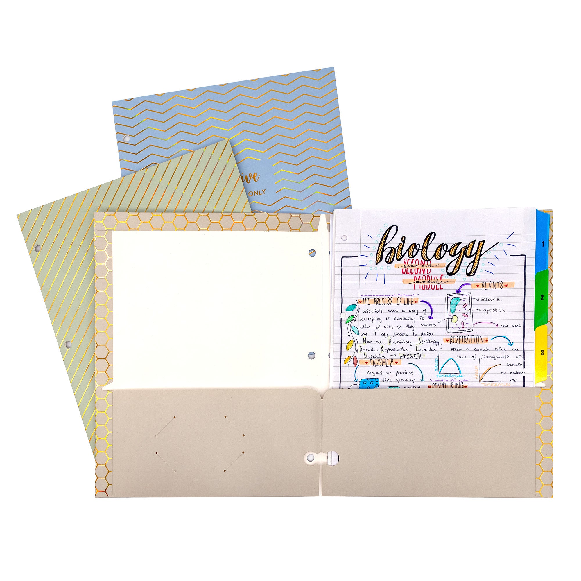 Haze 2-Pocket Portfolio, Letter Size, Assorted Colors, Pack of 6