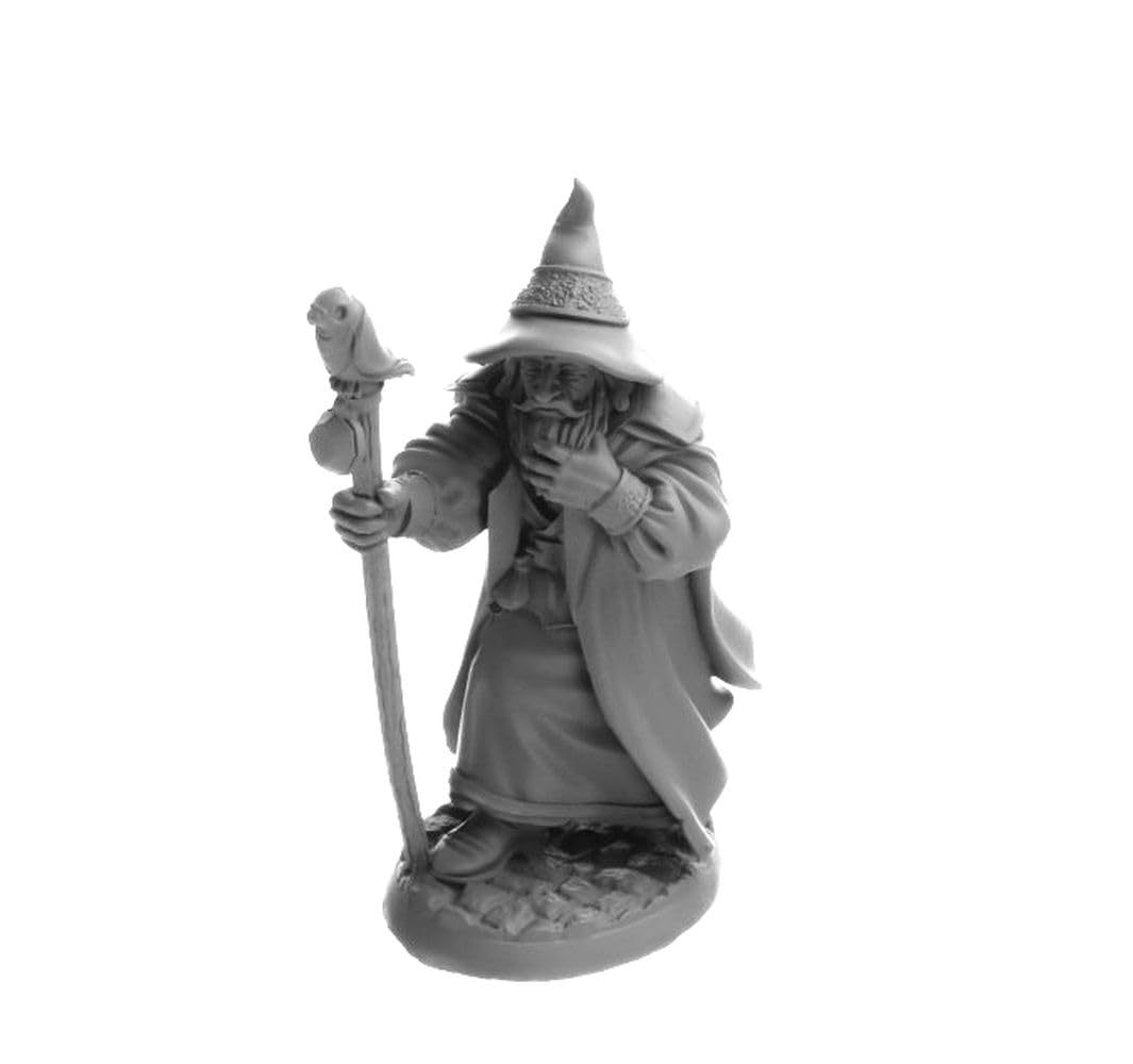 RPR07068 - Reaper Miniatures: Landol Griwsold | Human Wizard