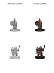 Unpainted Dwarf Barbarian Miniature - Pathfinder Deep Cuts by WizKids