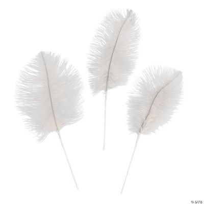 White Ostrich Feathers - 24 Pieces