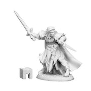 Dark Heaven Legends: Anduriel, Male Elf Paladin