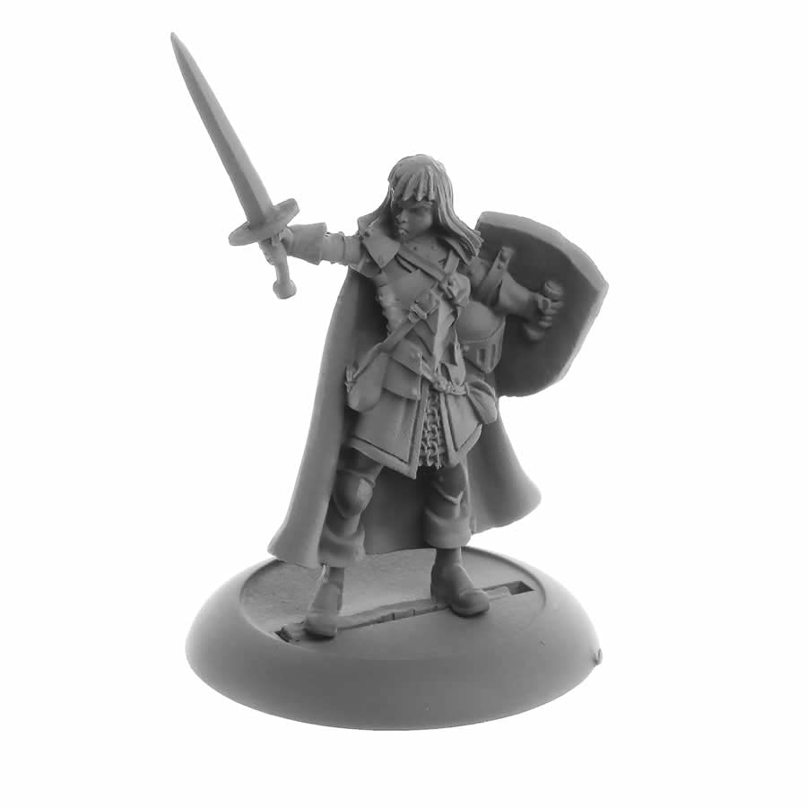 Dark Heaven Legends: Human Paladin, Caerindra