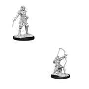 WizKids Pathfinder Battles Deep Cuts Unpainted Minis: W15 Female Human Fighter