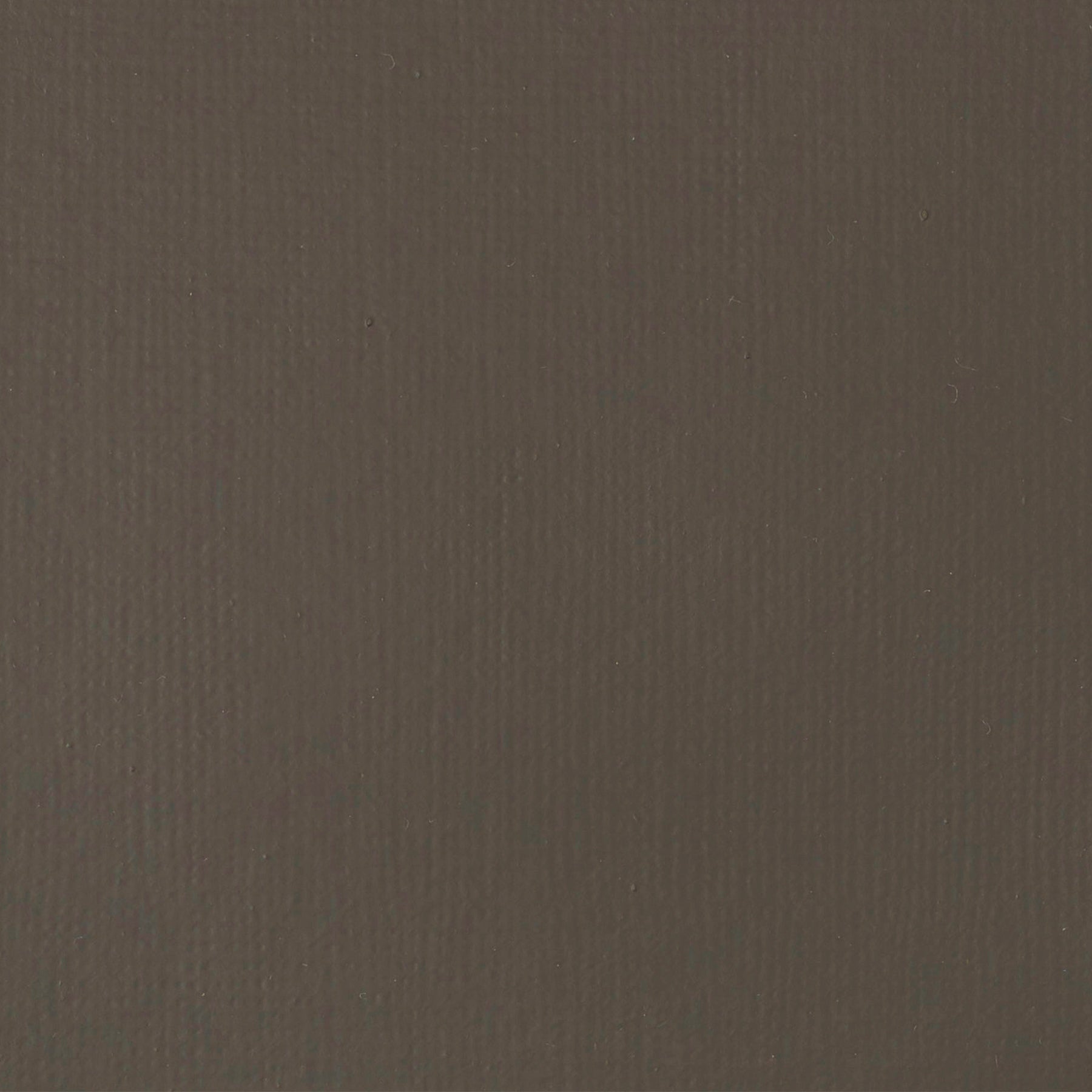 LQ BASICS 118ml tube - Raw Umber