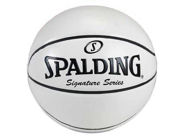 Spalding All White Autograph Full Size Signature Series Basketball