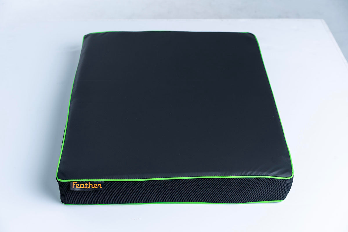 Feather HD Cushion, Green Piping, 22"
