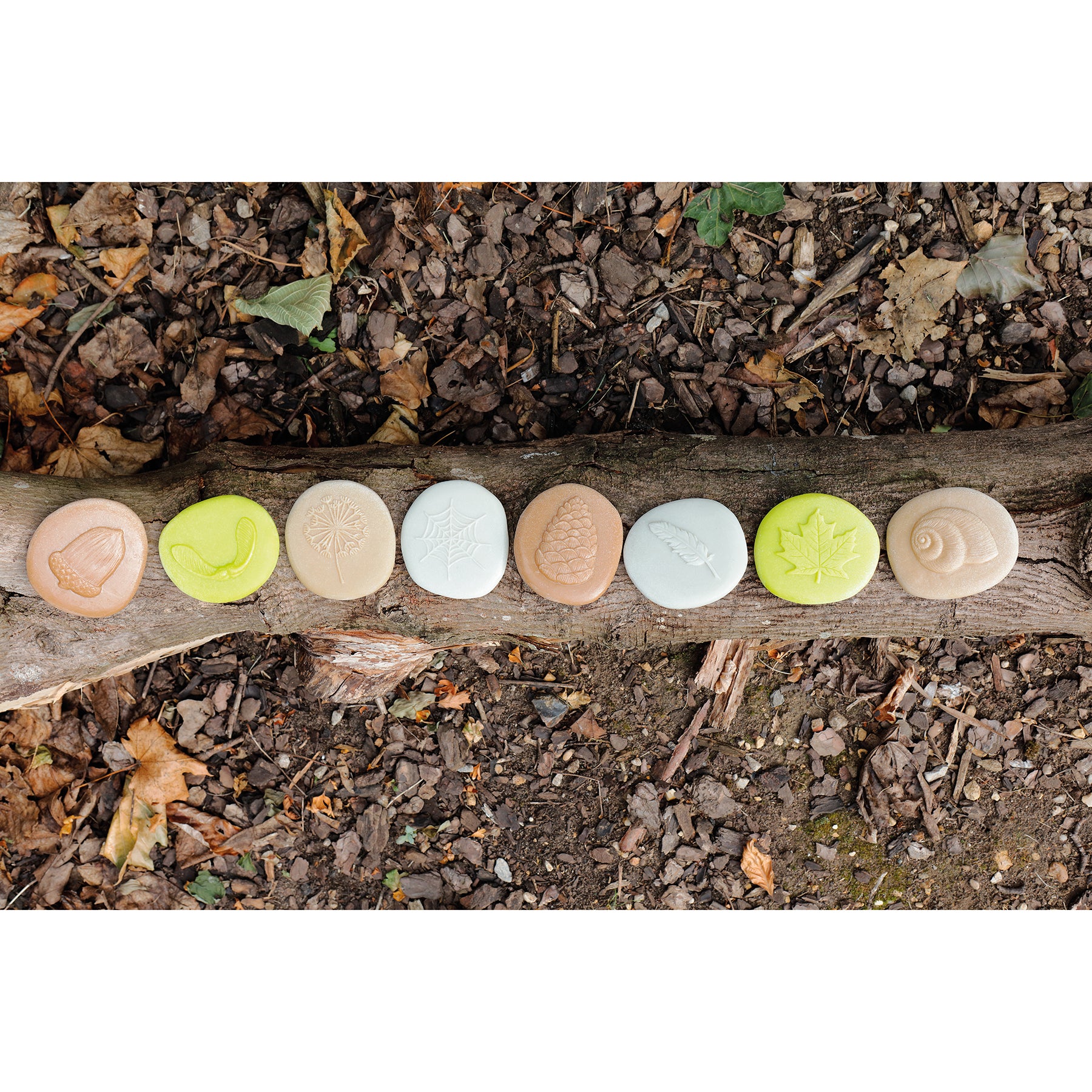 Let's Investigate – Nature, Set of 8 Stone Figures