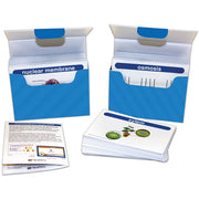 Life Science Vocabulary Builder Flash Cards - Middle School