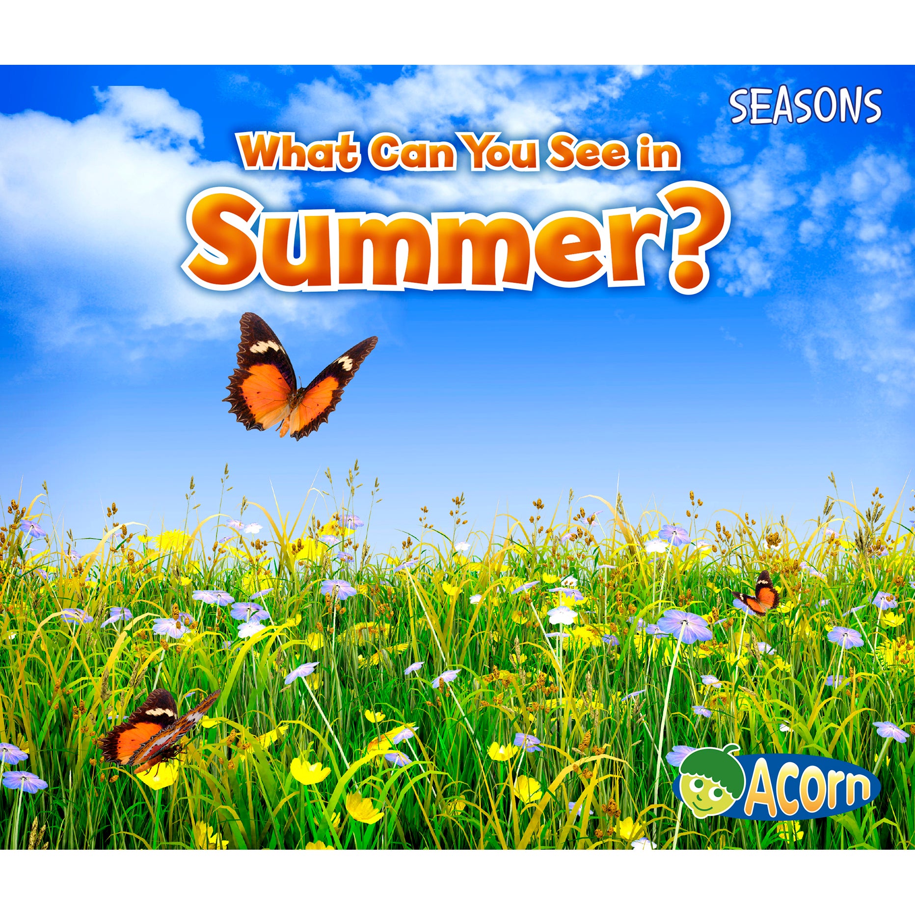 Seasons Book Set, Set of 4 titles