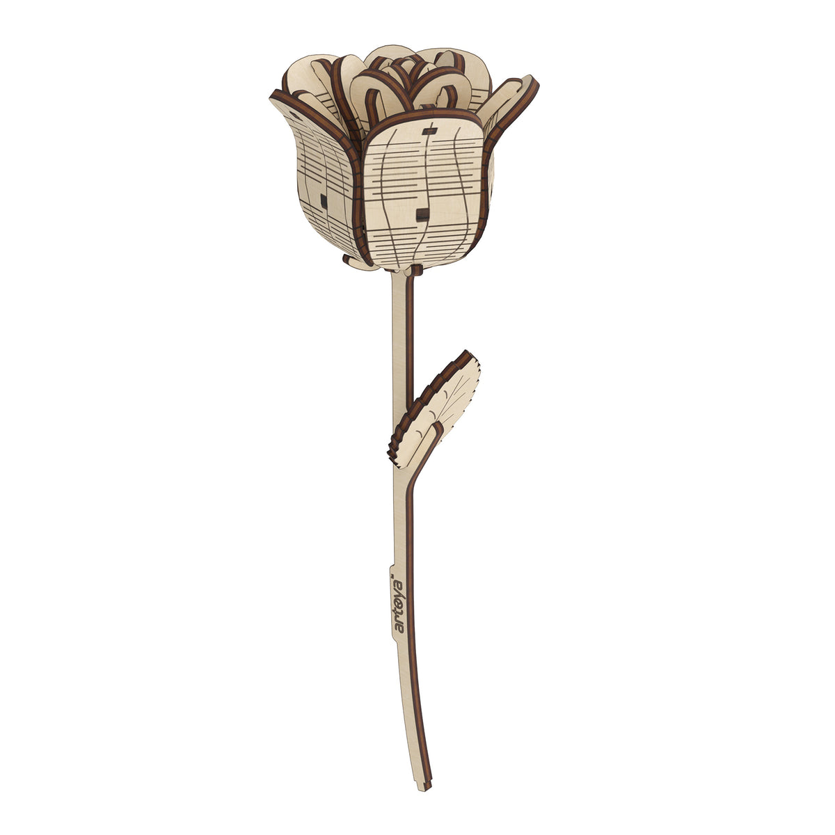 ROSE WOOD BUILDING SET