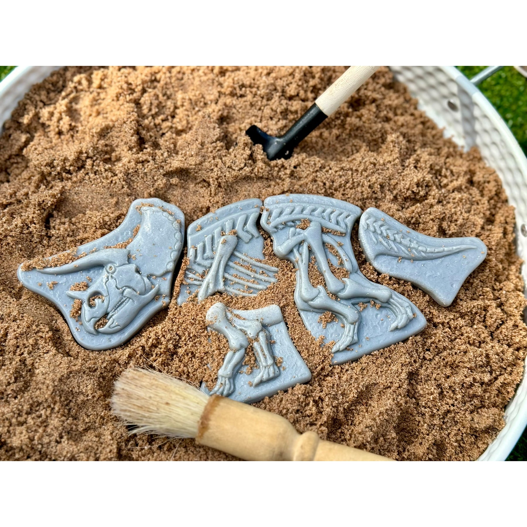 Dig and Discover - Triceratops & Spinosaurus