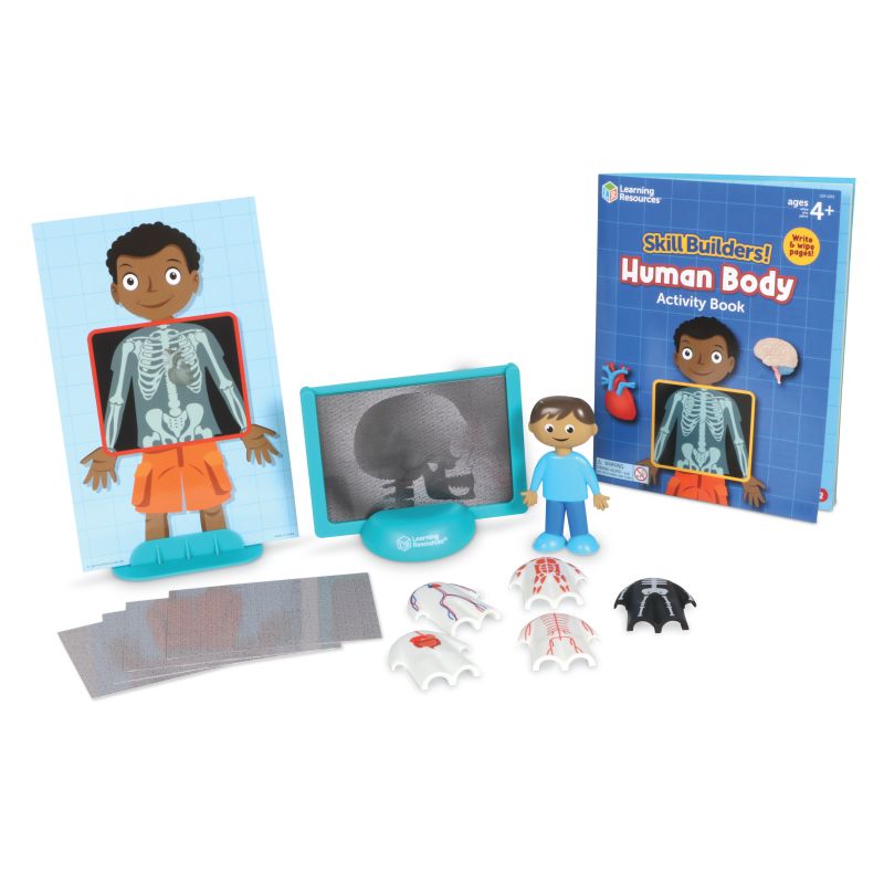 Skill Builders! Science - Human Body