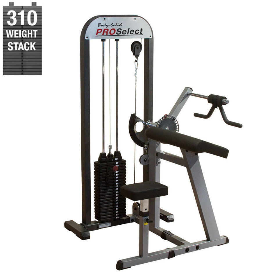 Pro Select Bicep Tricep 310Lb Stack