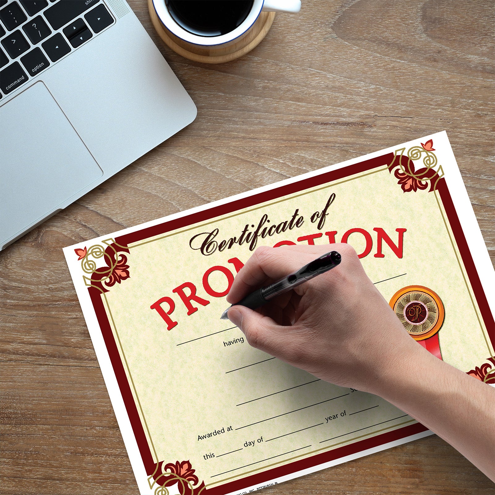 Certificate of Promotion, Pack of 30, 8.5" x 11"