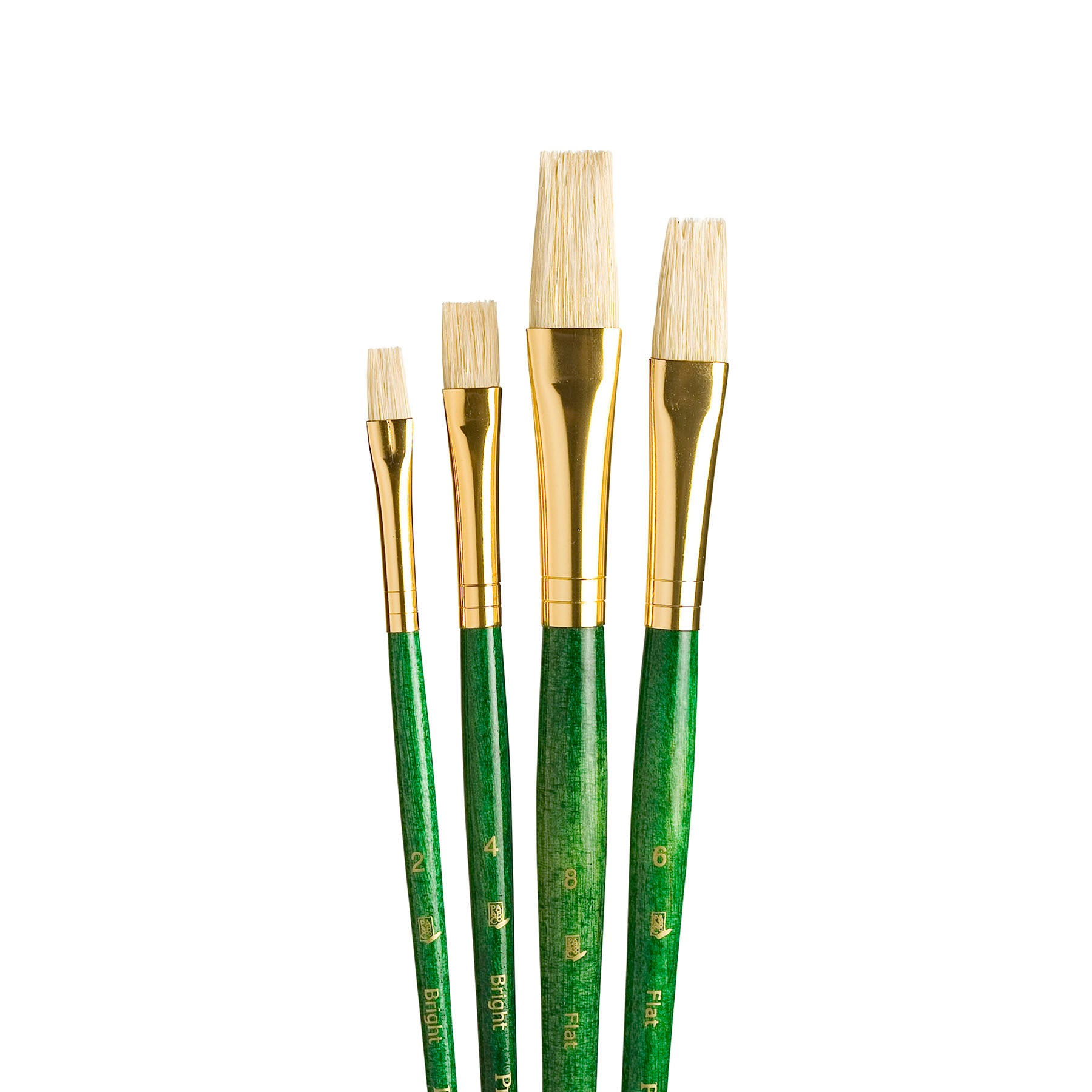 RealValue Brush Set, Natural Bristles, Short Handle Mixed Media Paintbrush, Green, 4 Pieces