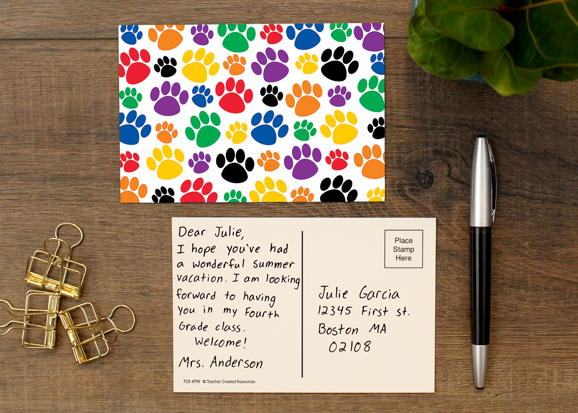 Colorful Paw Prints Postcards