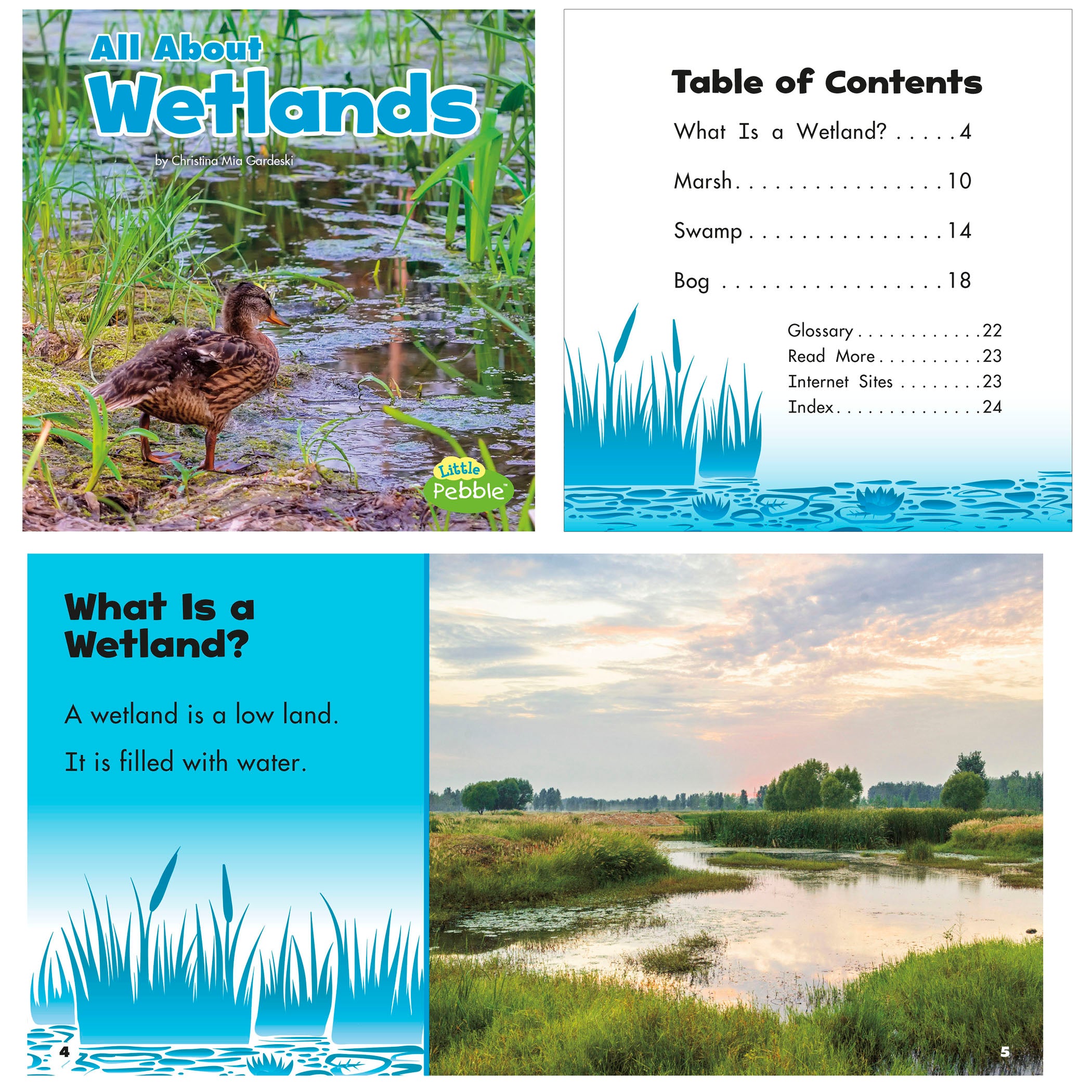 Habitats Book Set, Set of 8