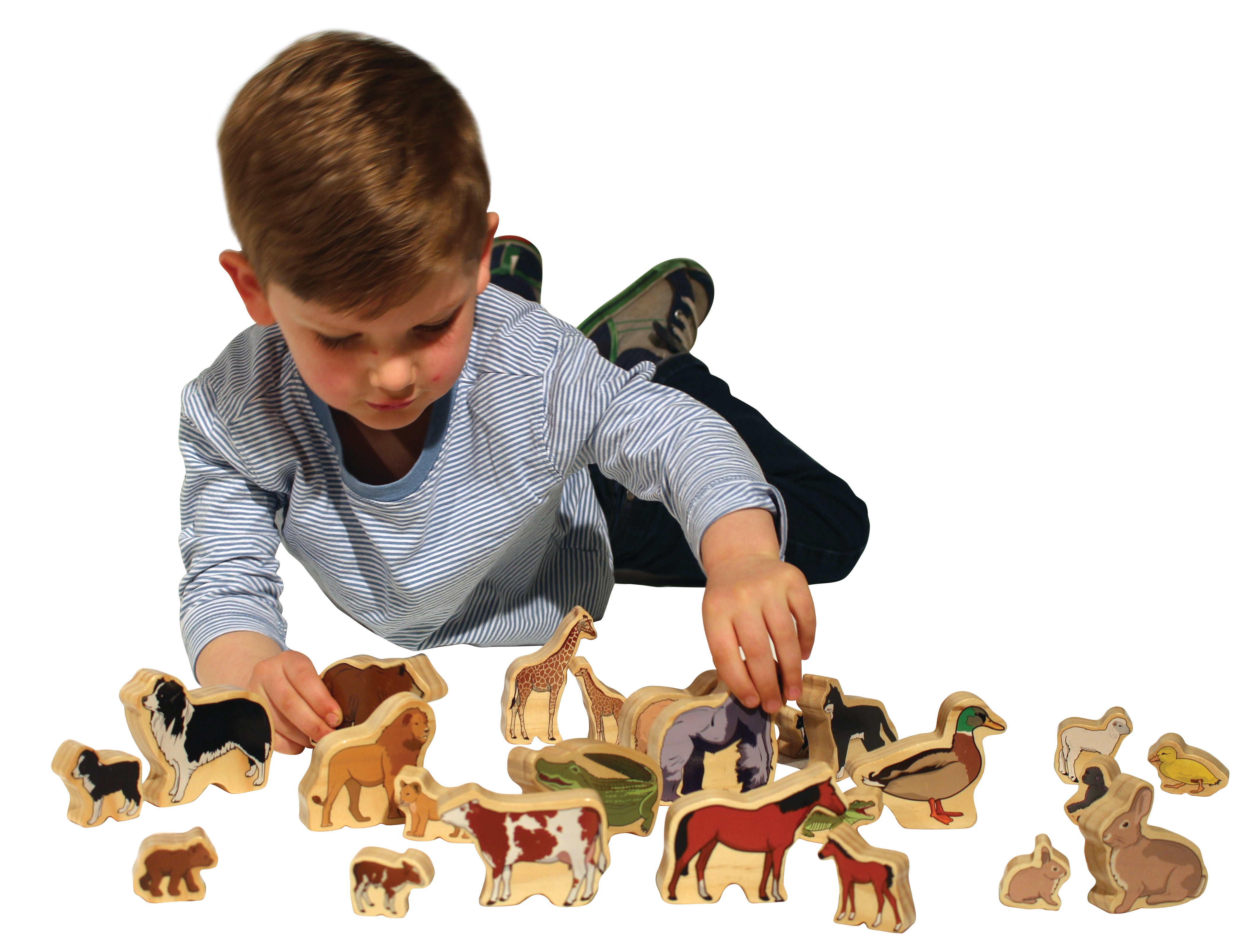 Animal Families - Set of 24
