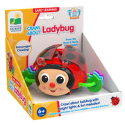 CRAWL ABOUT - LADYBUG