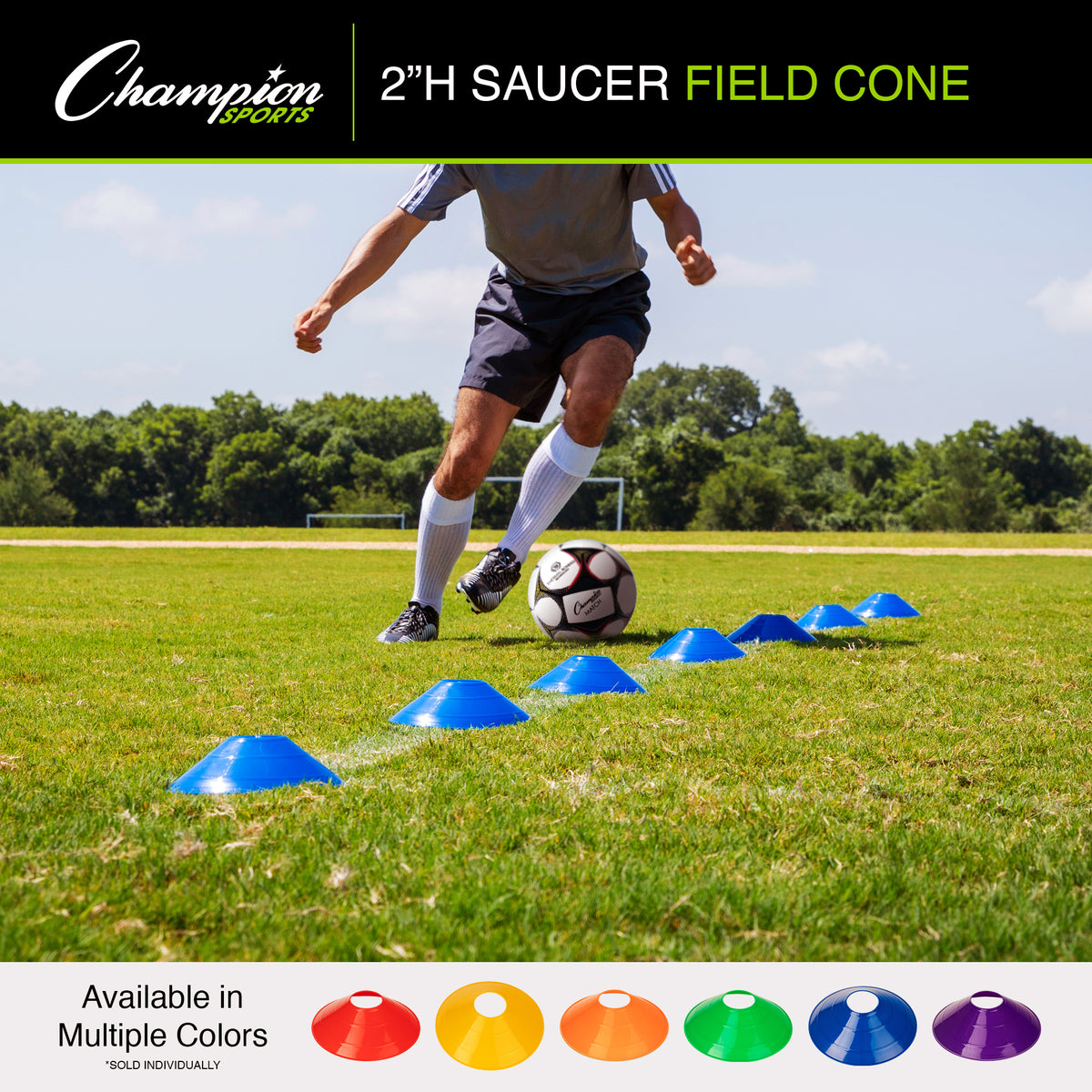 FIELD DAY KIT