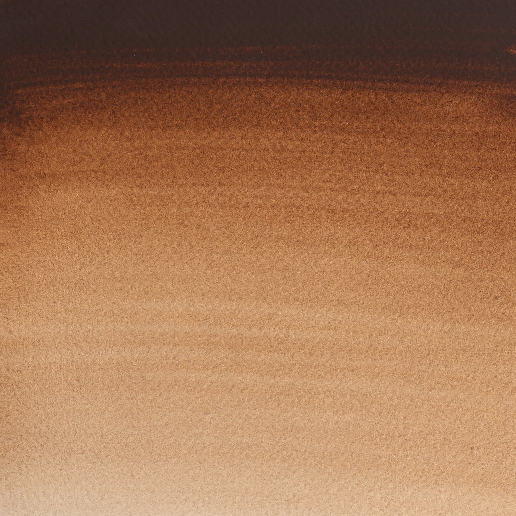 CWC 8ml tube - Burnt Umber