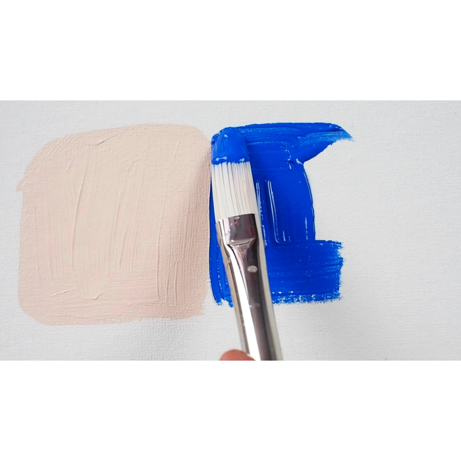 Bristlon Long Filbert Brush Set, 5 Brushes