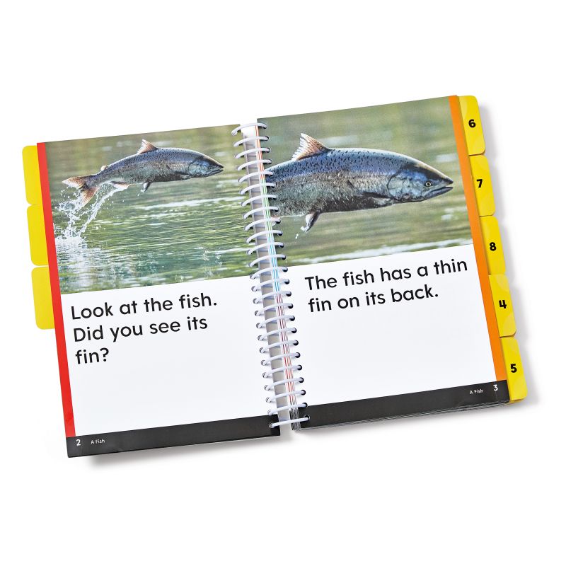 Guided Phonics + Beyond®, Unit 3 Decodable Books, Individual