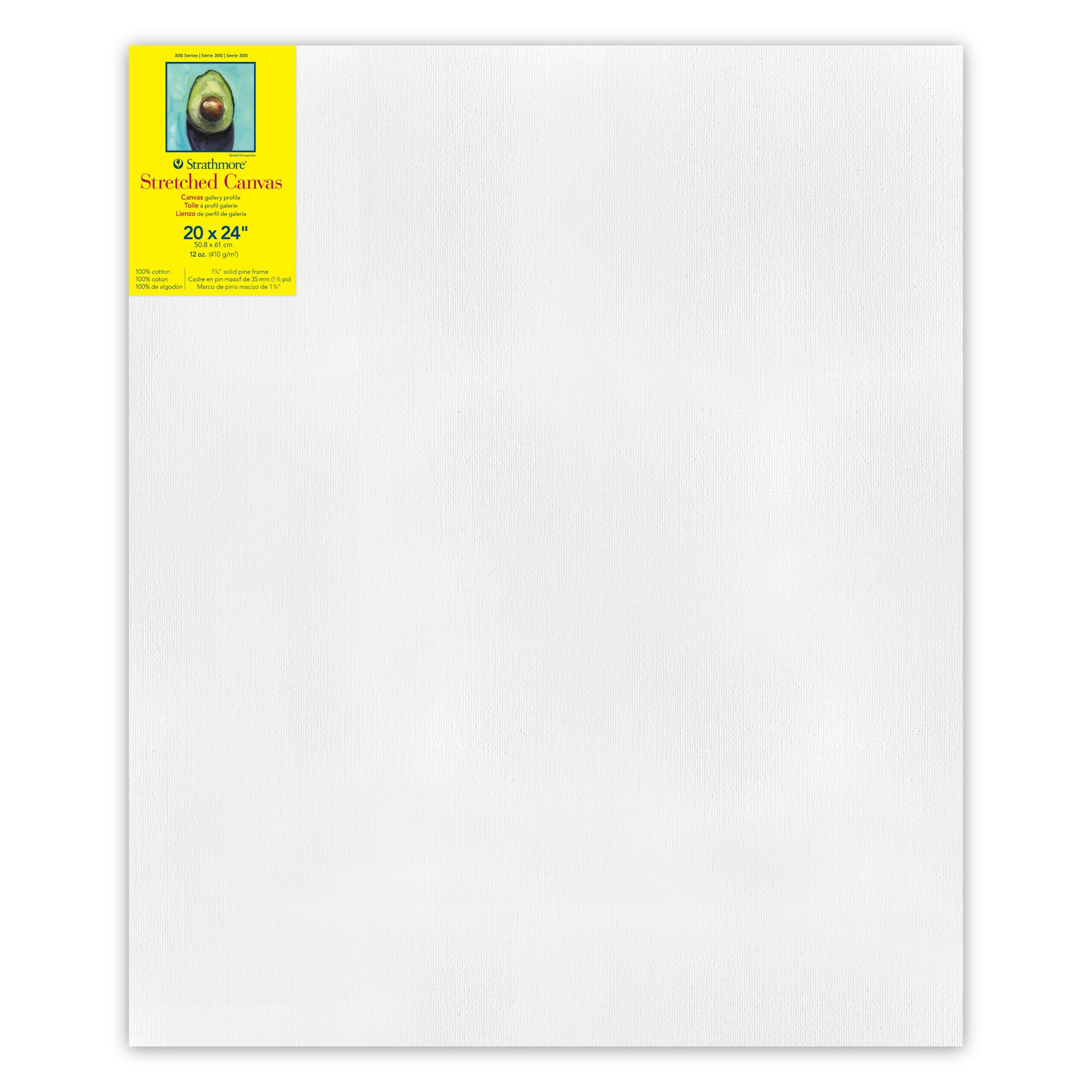 300 Series Gallery Stretched Canvas, 20x24 inch