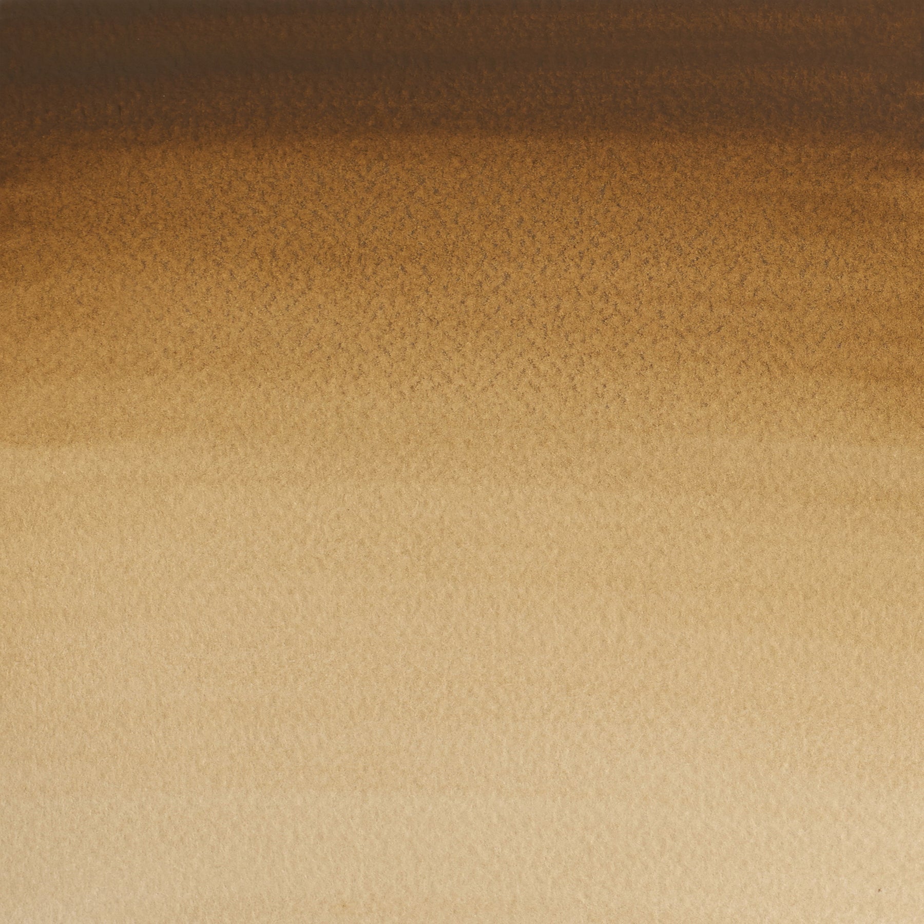 CWC 21ml tube - Raw Umber