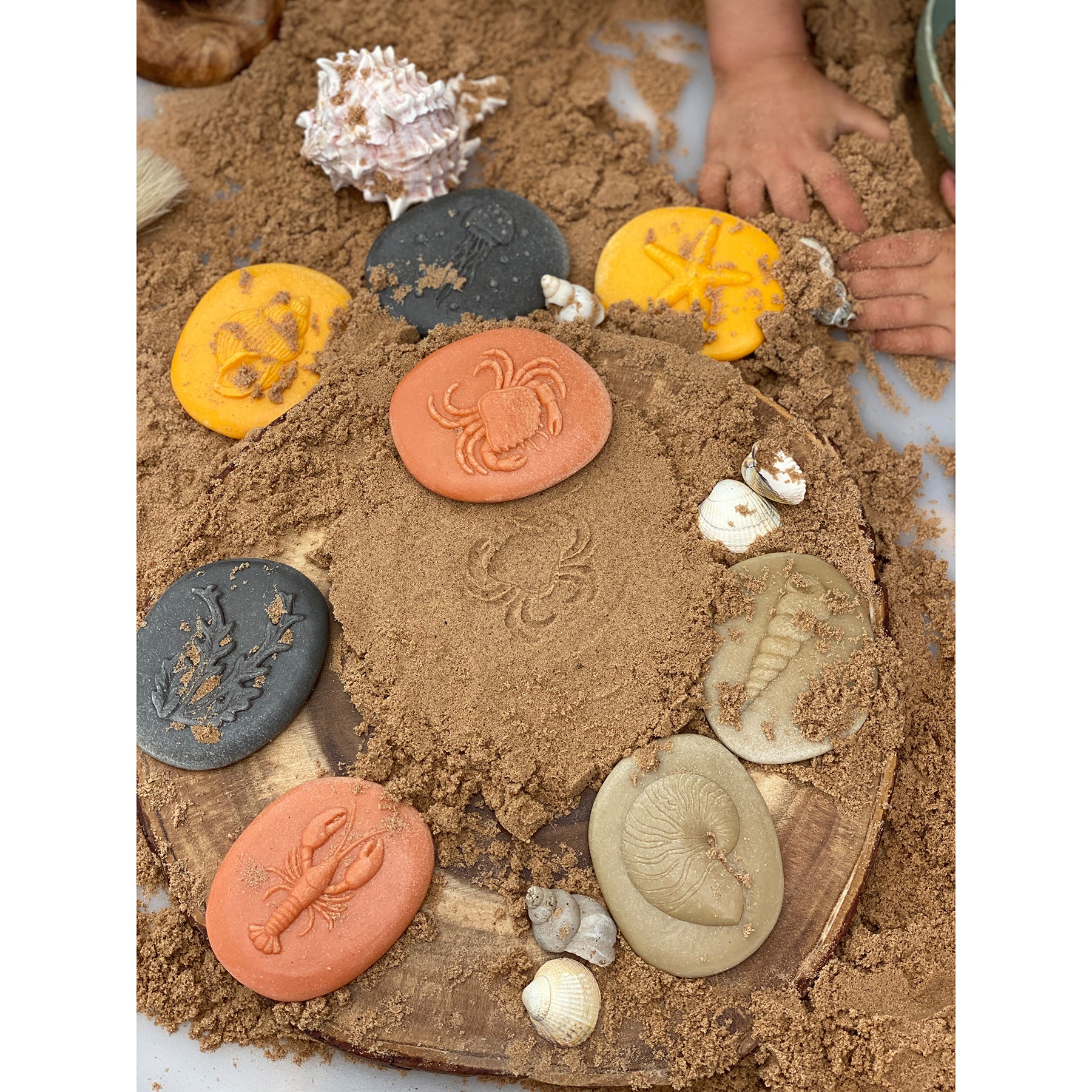Let's Investigate – Seashore, Set of 8 Stone Figures
