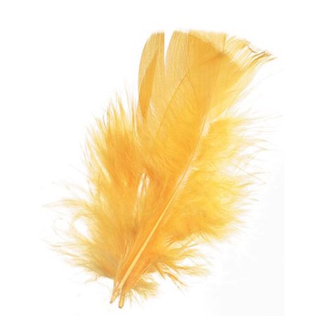 Feathers All Purpose Yellow 14 Grm Pack
