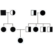 Stick to Science - Genetic Cards