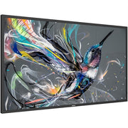 Philips Signage Solutions Q-Line Display 50BDL3650Q/00