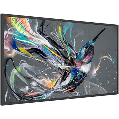 Philips Signage Solutions Q-Line Display 50BDL3650Q/00
