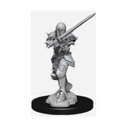 D&D Nolzurs Marvelous Unpainted Miniatures: Wave 9: Human Female Fighter