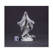 Reaper (77636) Death Shroud