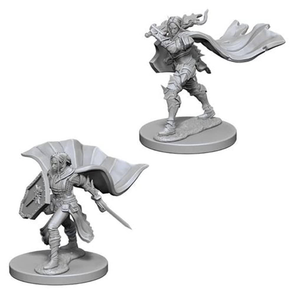 Pathfinder: Deep Cuts Minis: Elf Female Paladin W4 (Unpainted)
