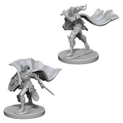 Pathfinder: Deep Cuts Minis: Elf Female Paladin W4 (Unpainted)